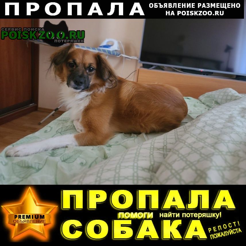 ���� ������� ������ ������ 31 �������. ����-����� ���