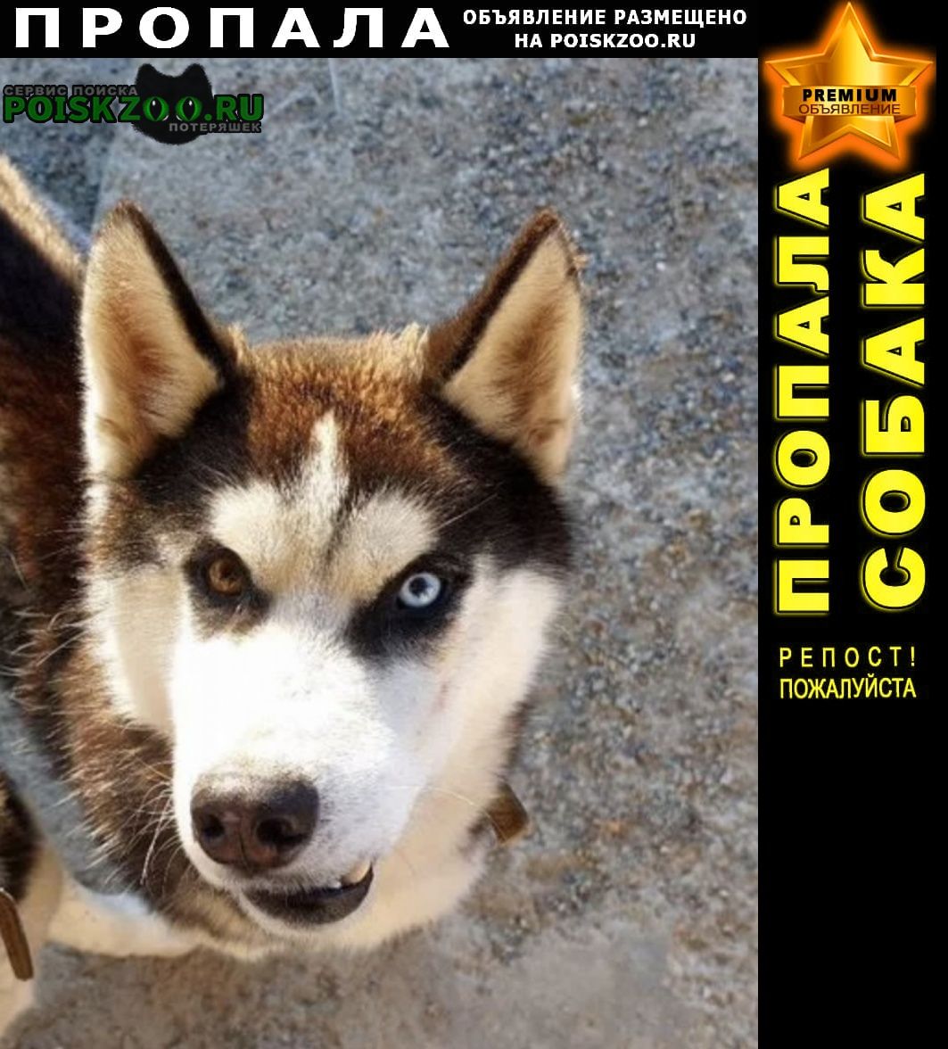 ���� ������� ������ ������ ������� 16. 09. ������ ���. ������