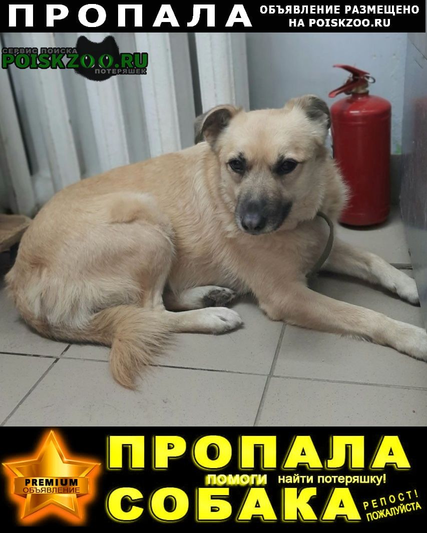 ���� ������� ������