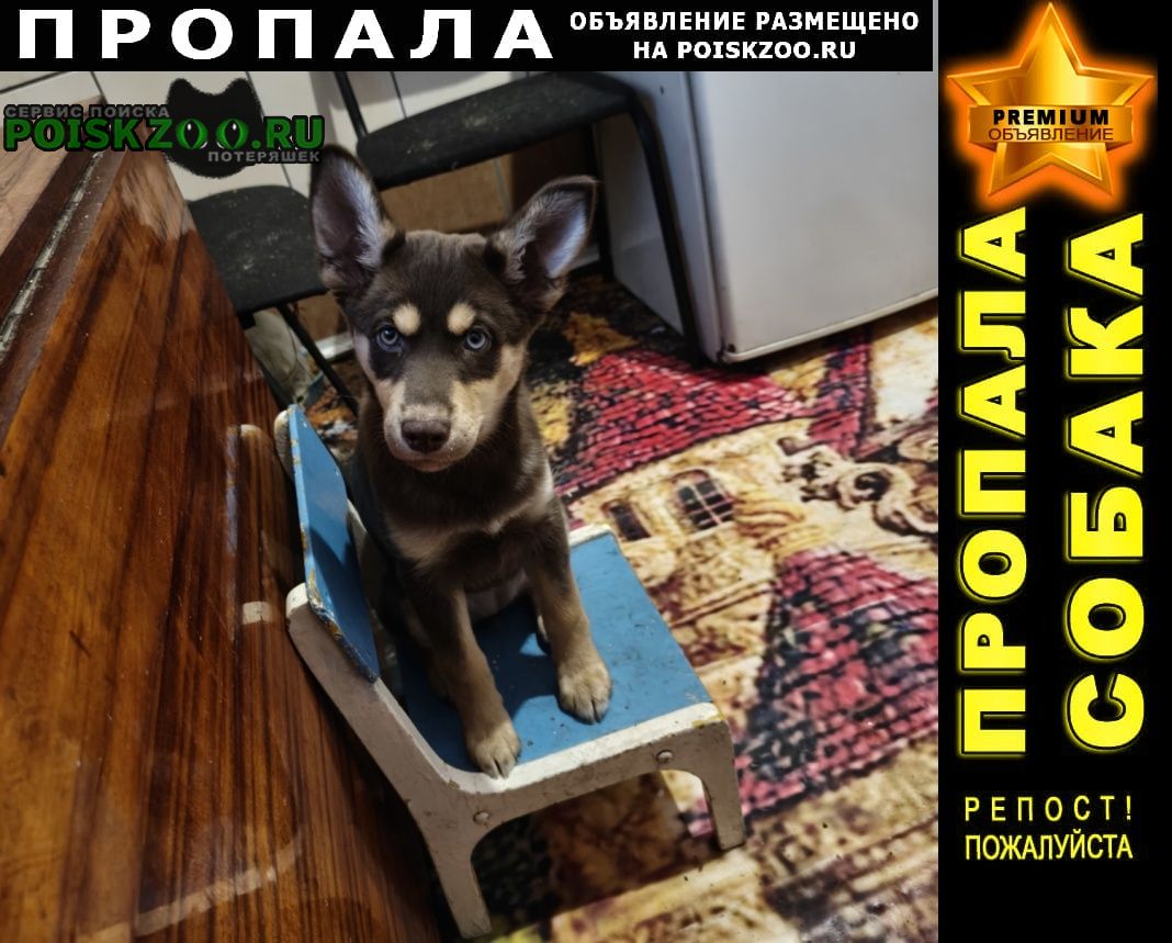 ���� ������� ������ �� ������ ����� �