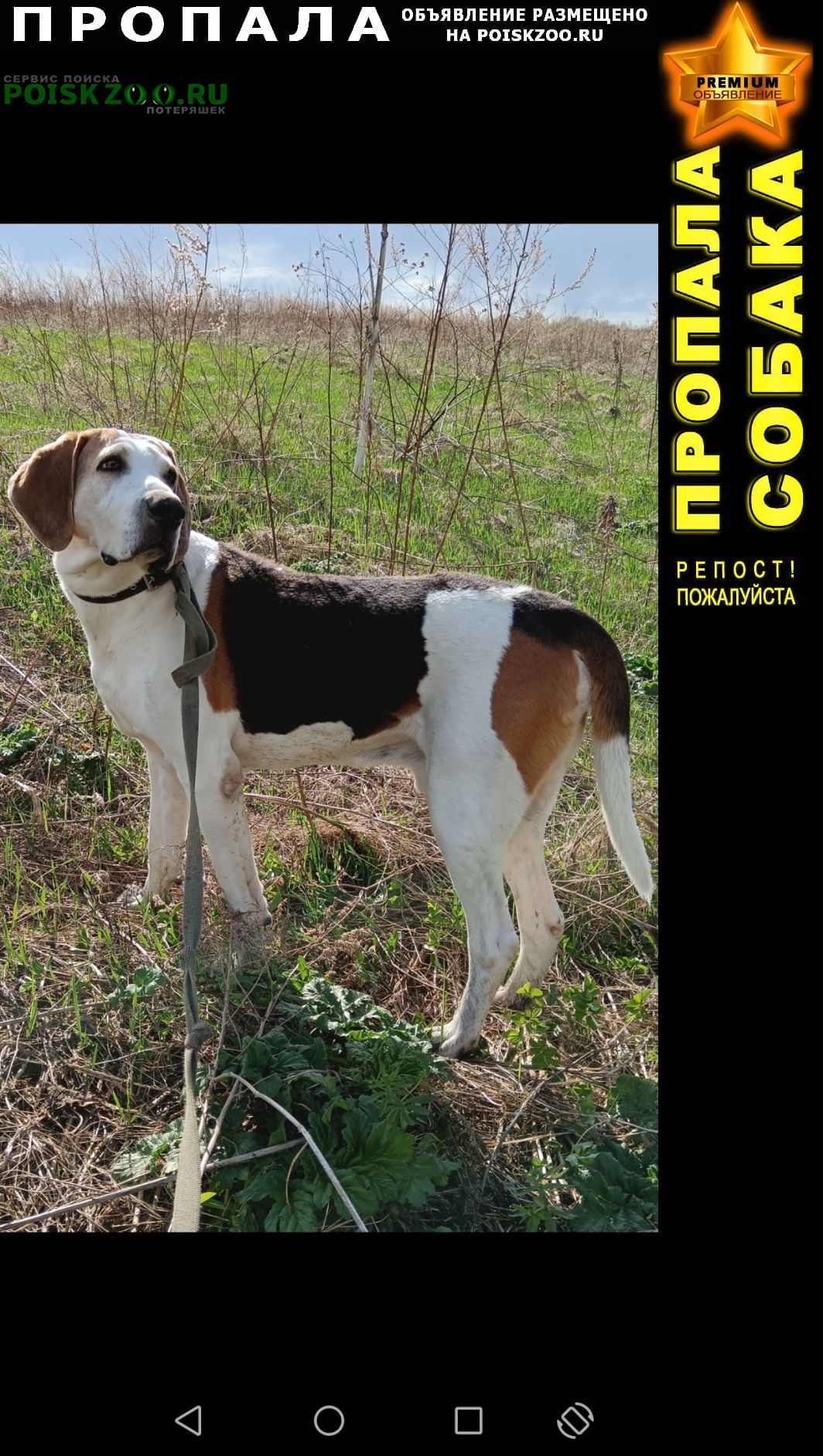 ���� ������� ������ ������ ������ ����� 10���