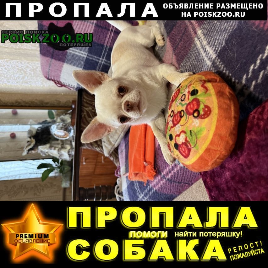 ���� ������� ������ ������