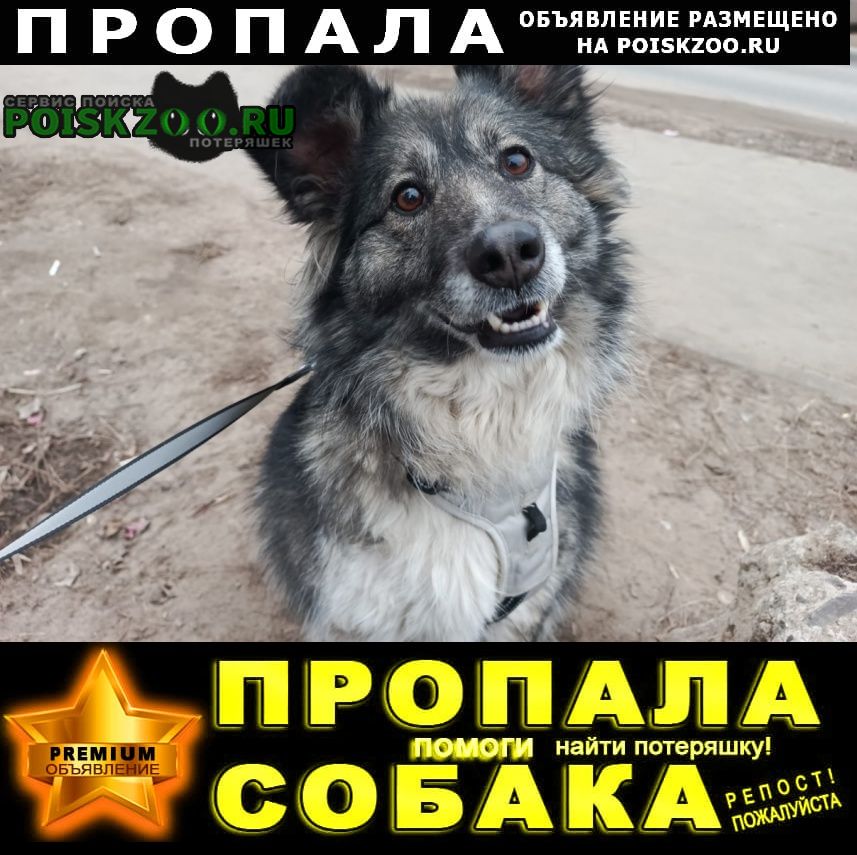 ���� ������� ������