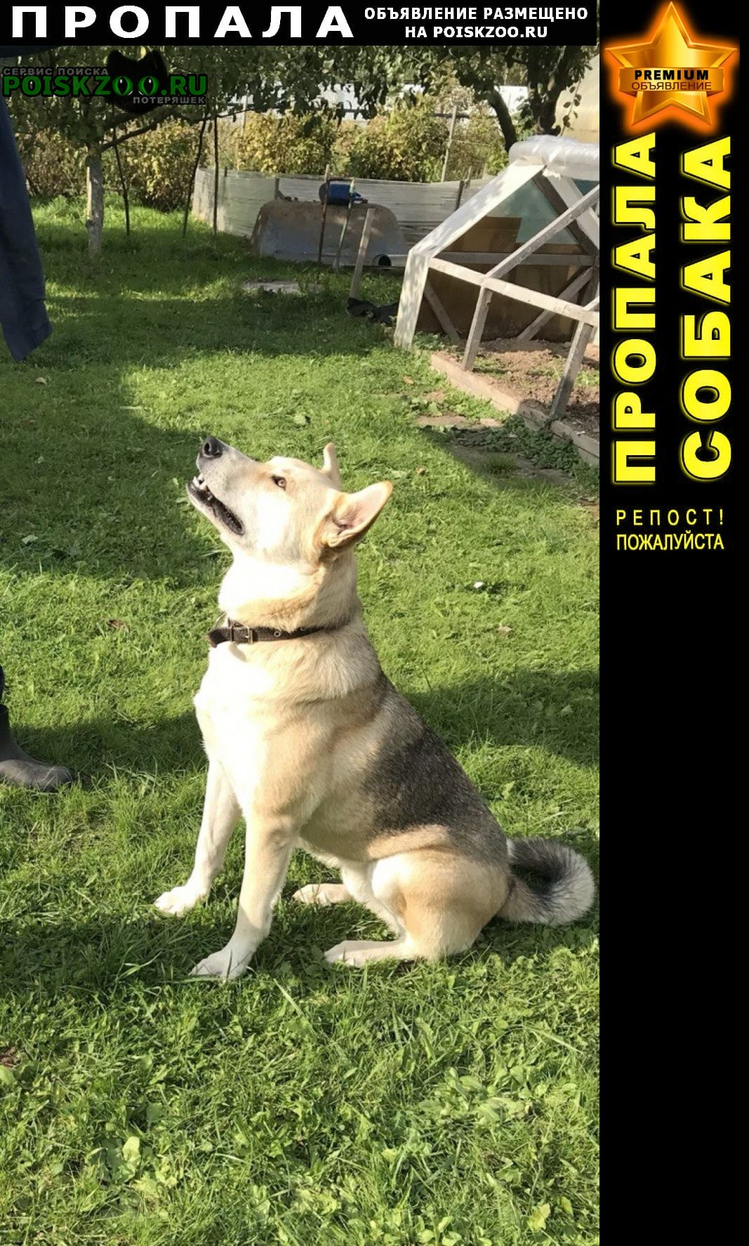 ���� ������� ������ ������