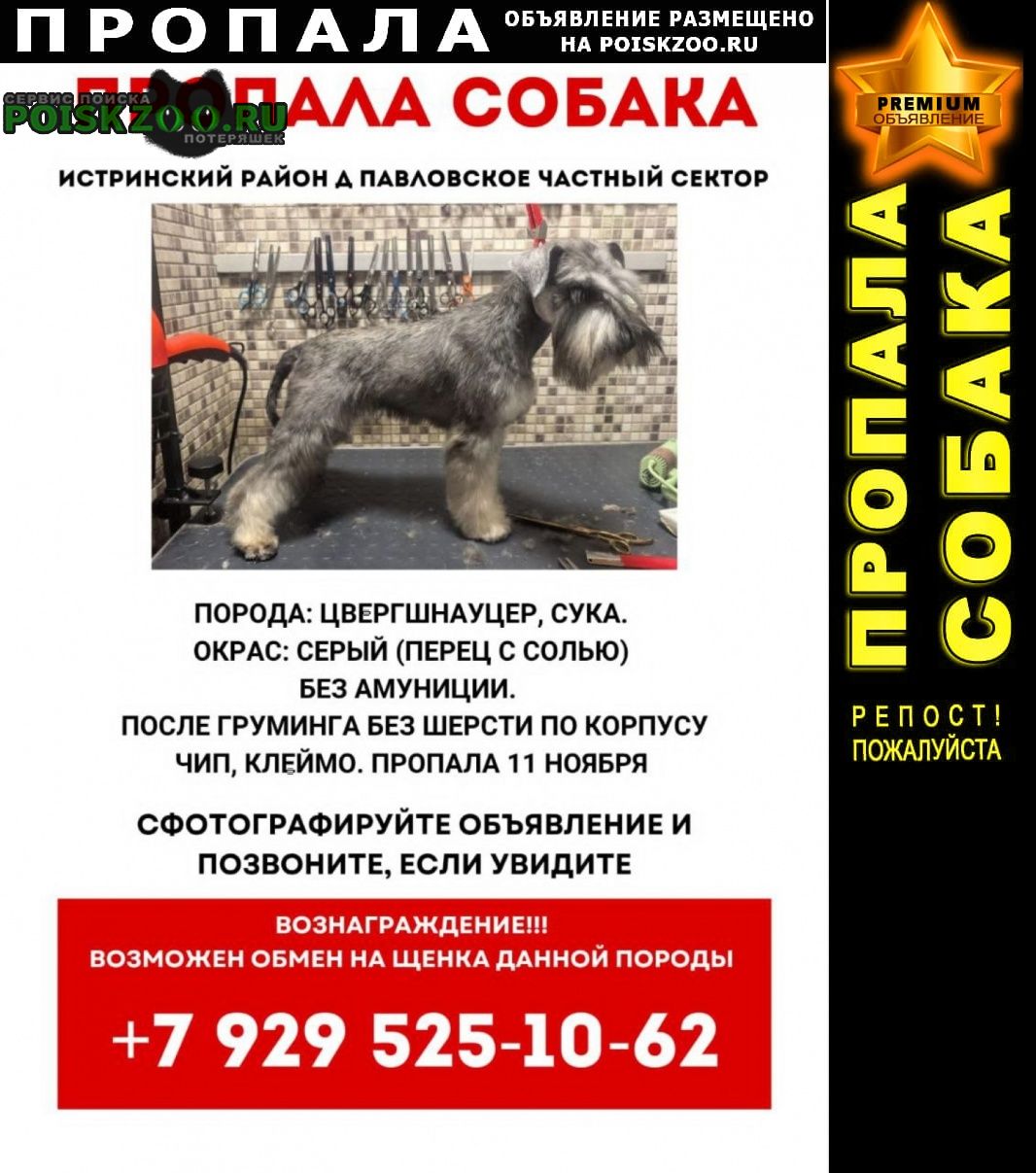 ���� ������� ������