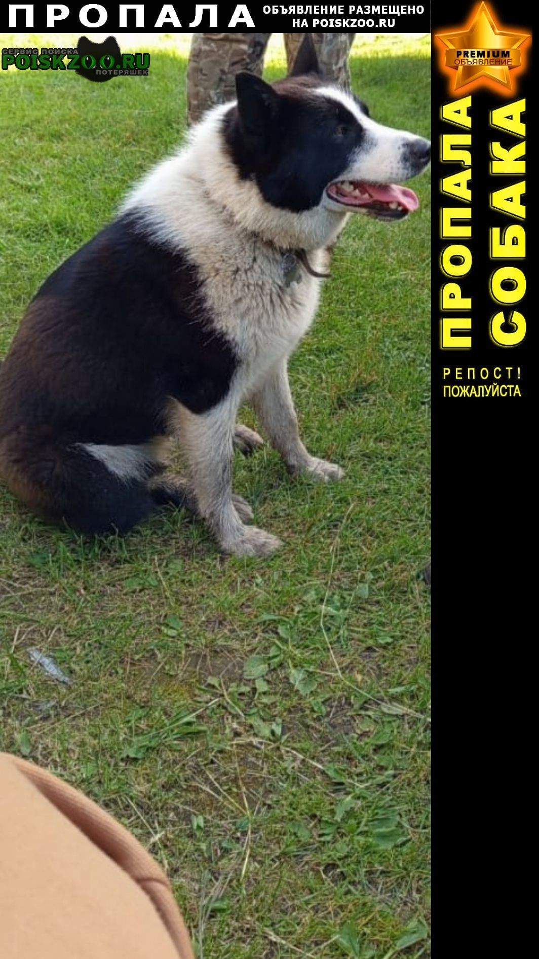 ���� ������� ������ ������ �����