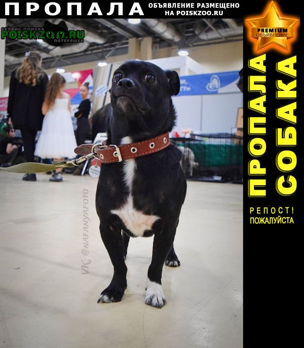 ���� ������� ������ ������