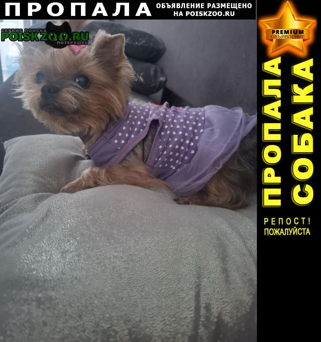 ���� ������� ������