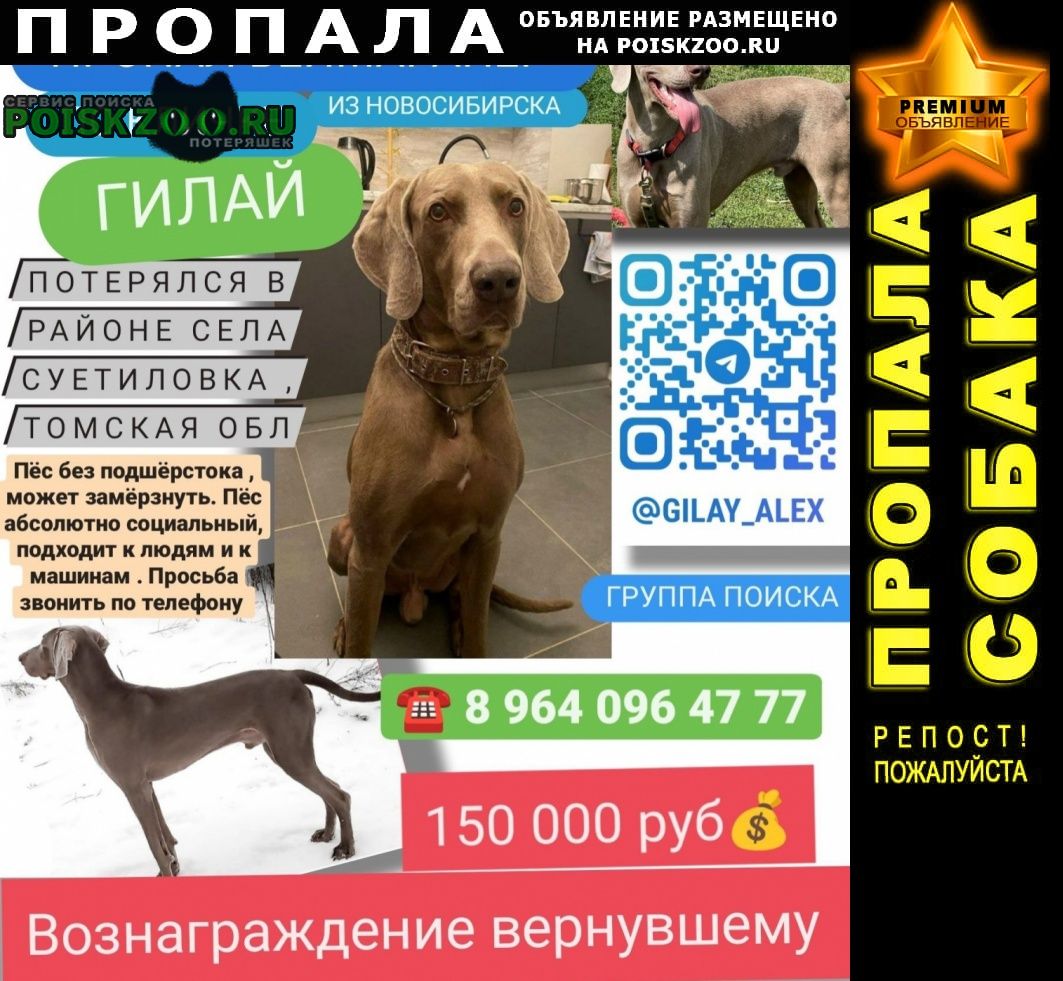 ���� ������� ������ ������ ������ ����������