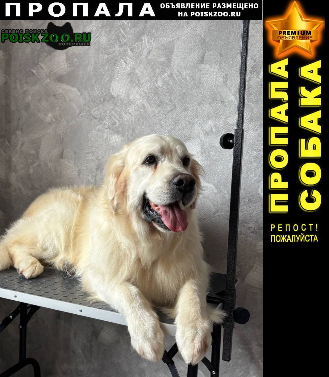 ���� ������� ������ ������ ������ ����