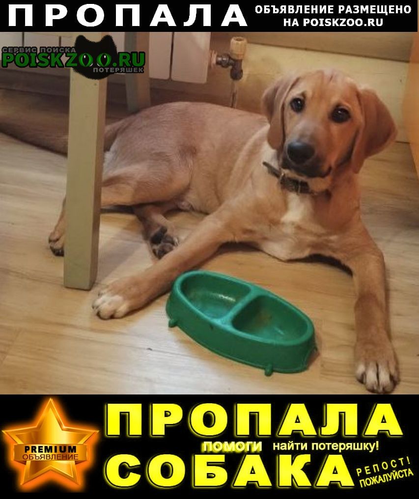 ���� ������� ������ ������