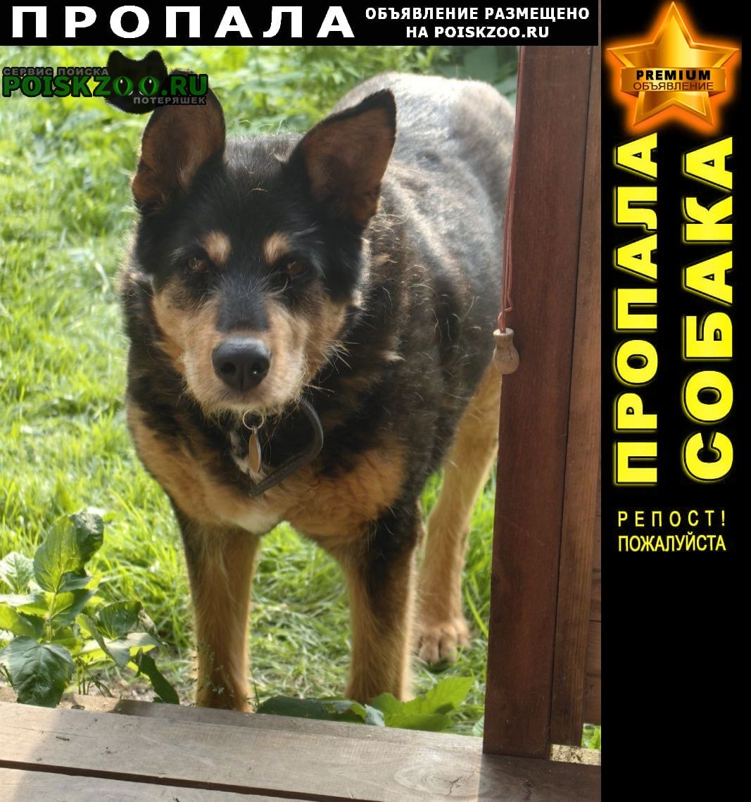 ���� ������� ������