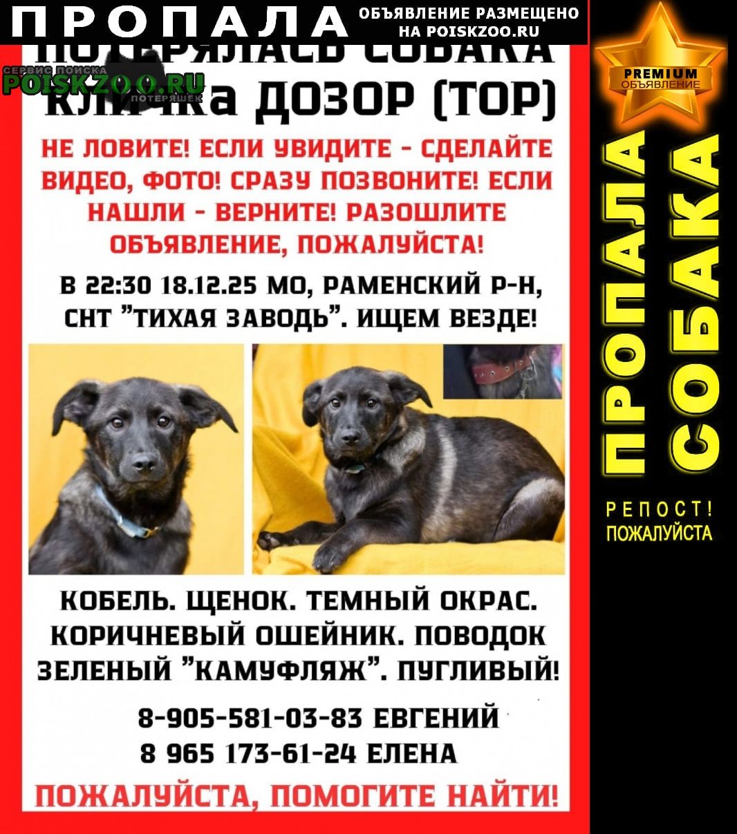 ���� ������� ������ ������