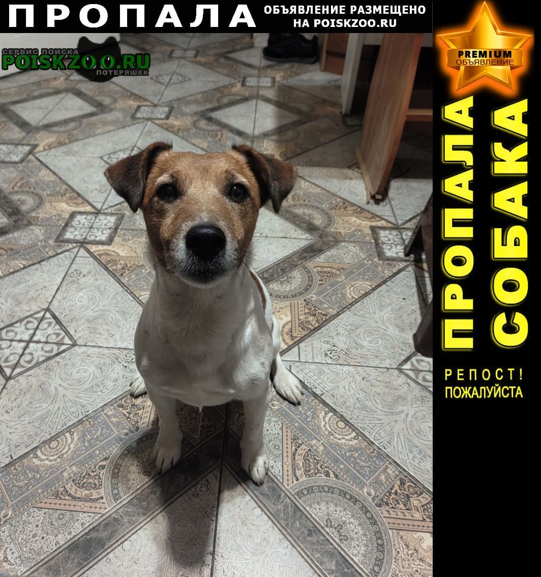 ���� ������� ������ ������ �������� �����