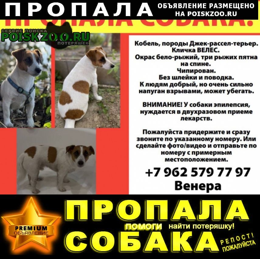 ���� ������� ������ ������