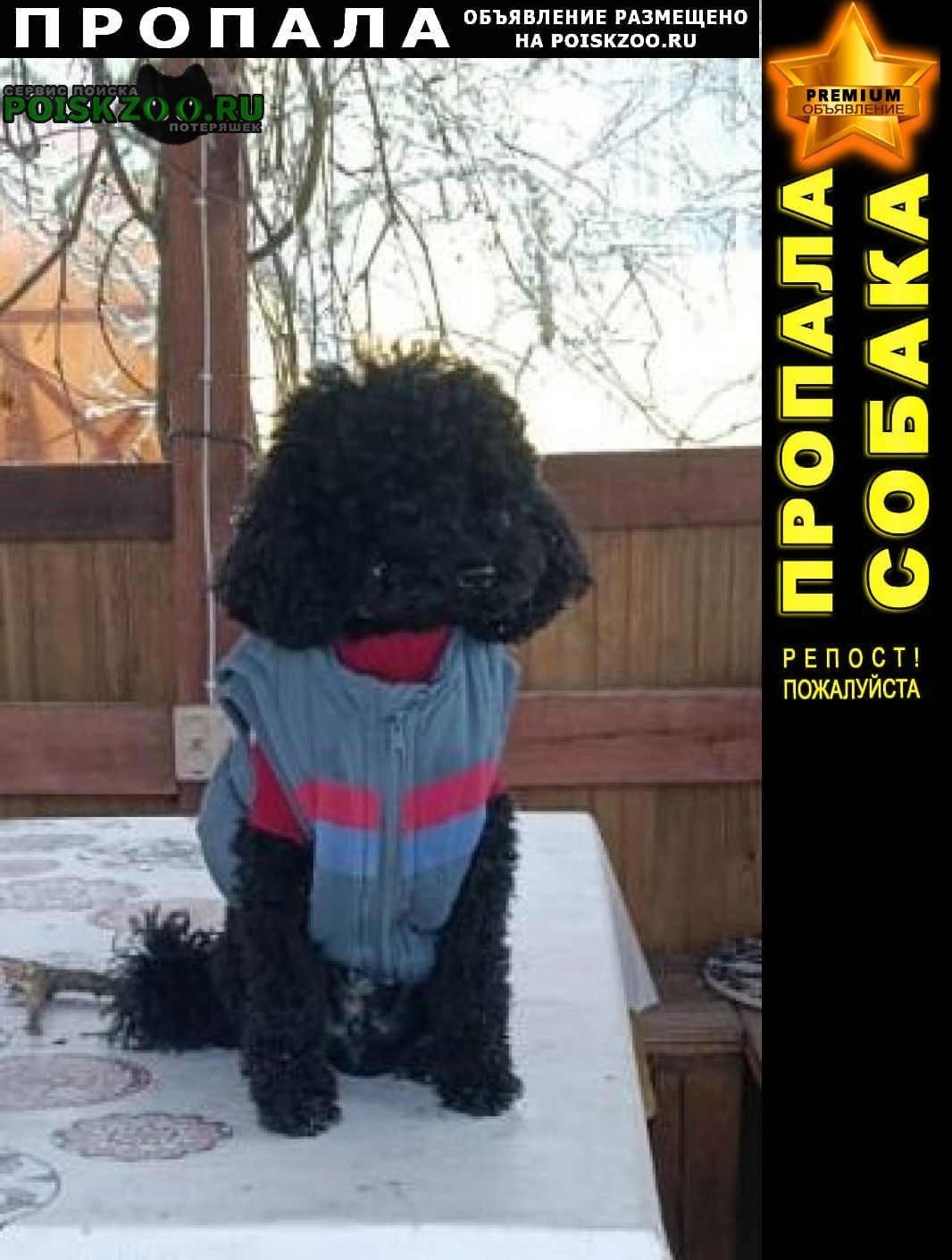 ���� ������� ������ ������ ������ ����� ������. ������ ����.