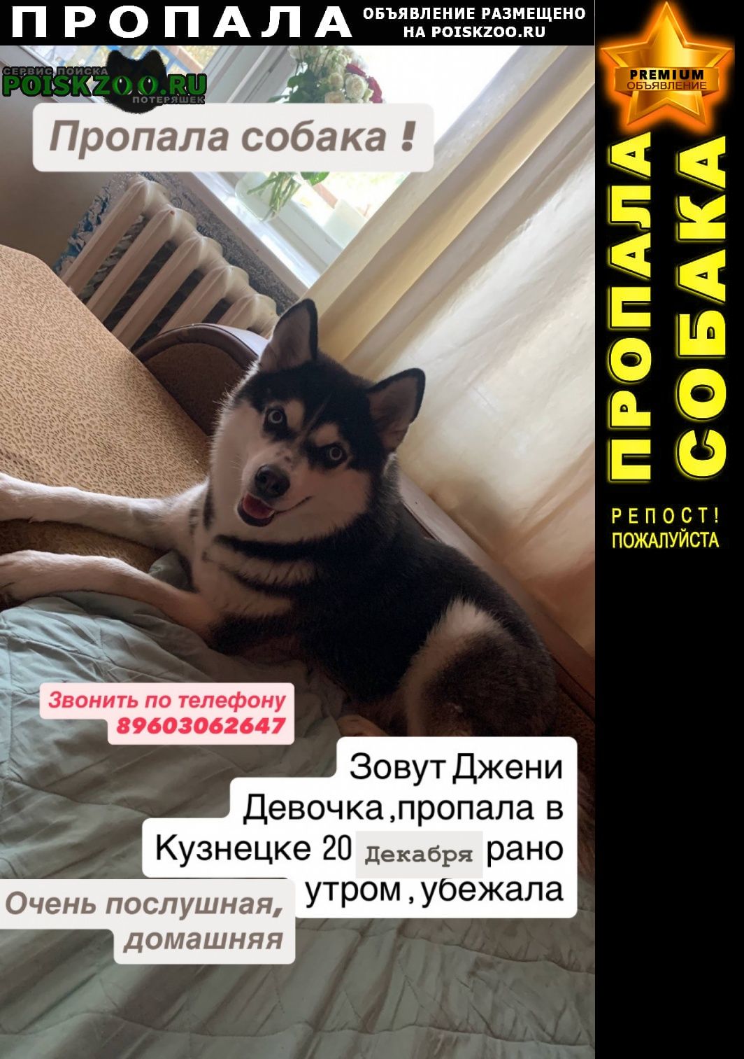 ���� ������� ������