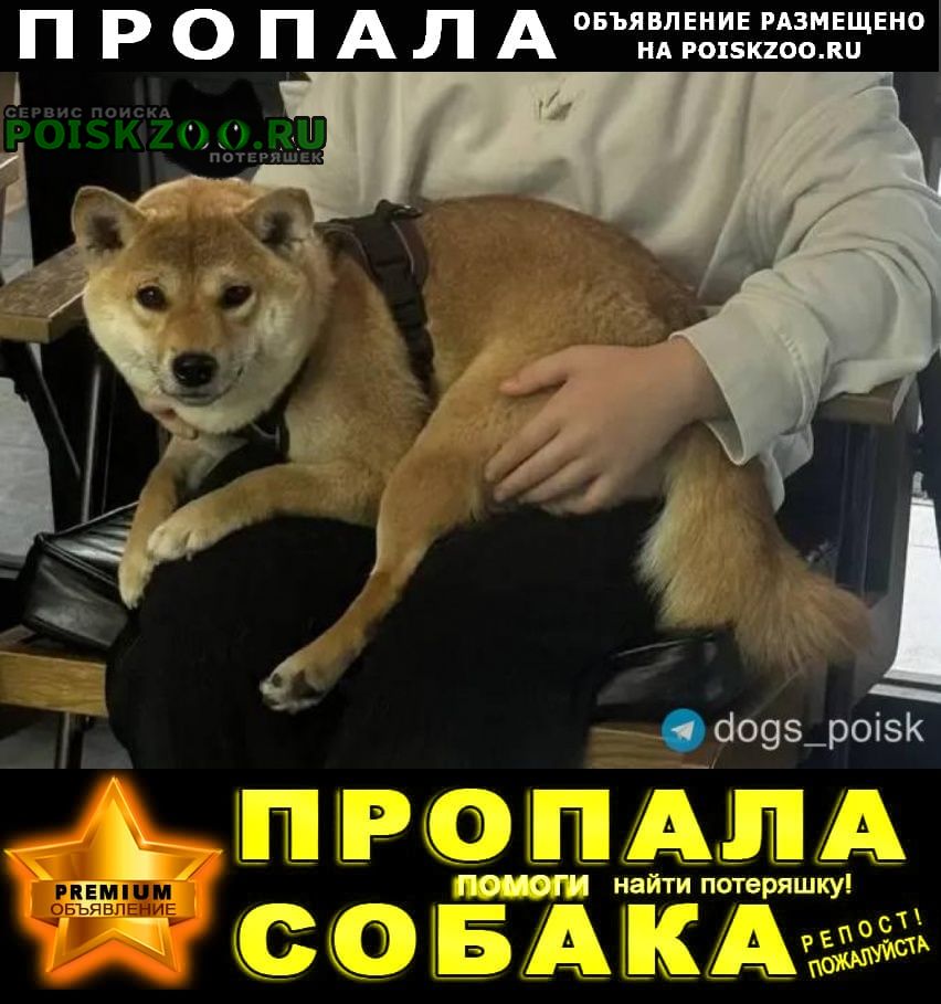 ���� ������� ������ ���� ���