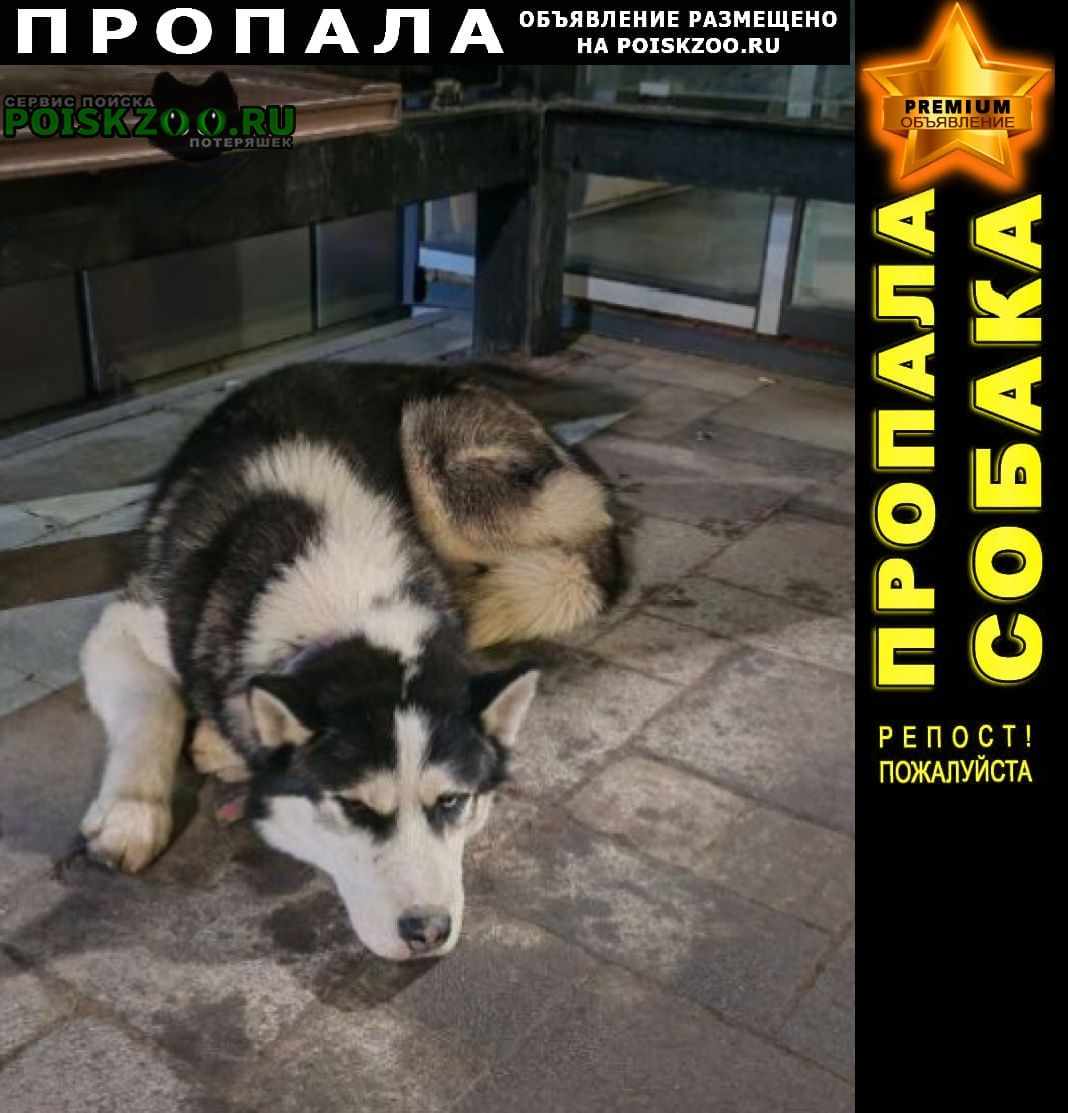 ���� ������� ������ ������ ����� �������� ����� ������