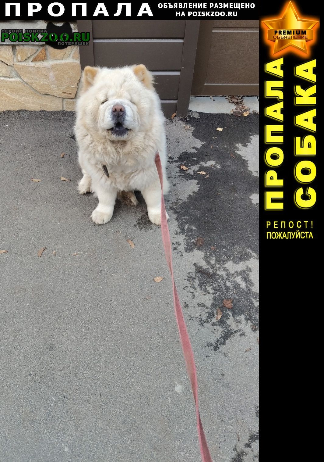 ���� ������� ������