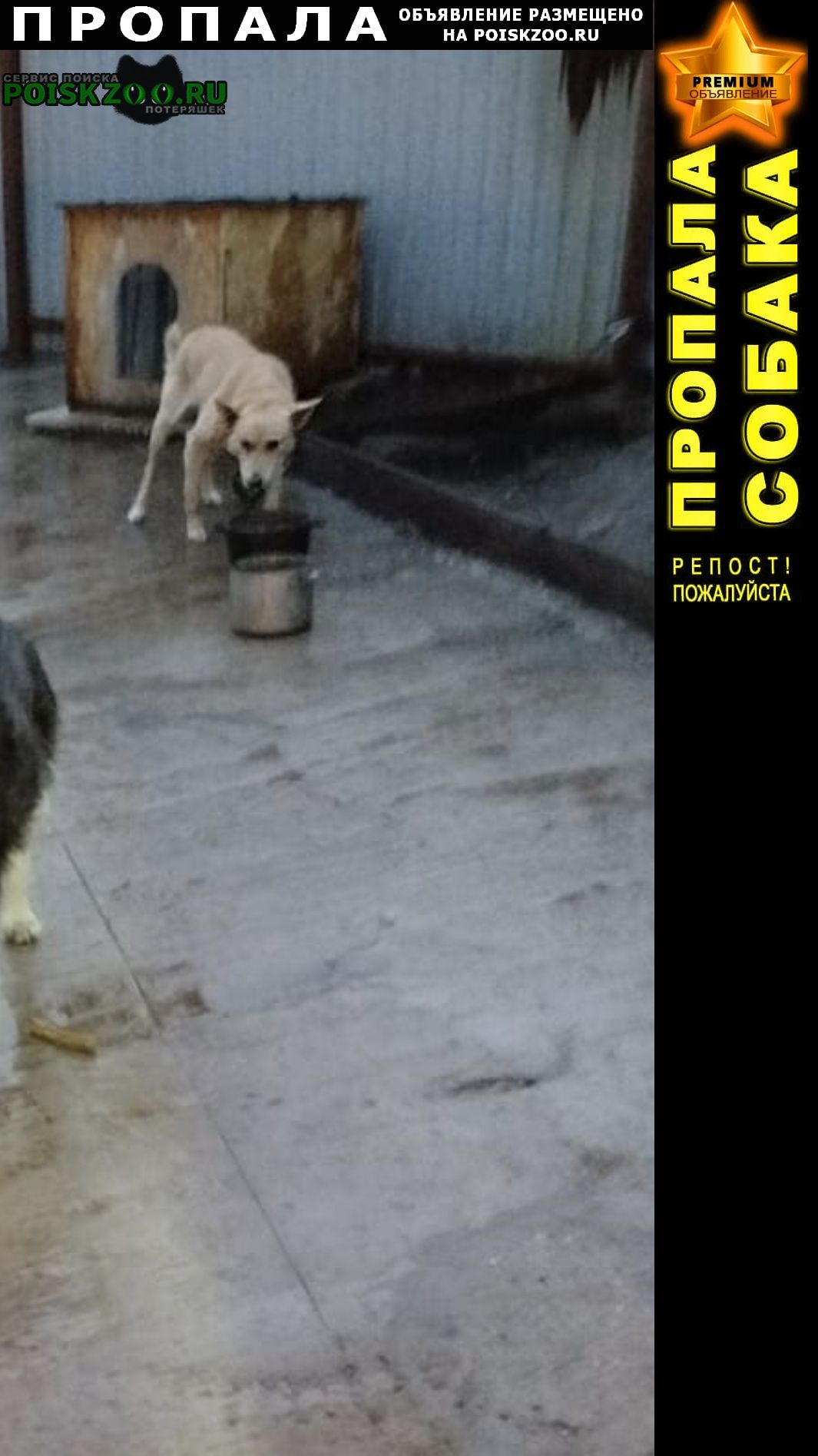 ���� ������� ������ ������, ������ ������ ����� ����