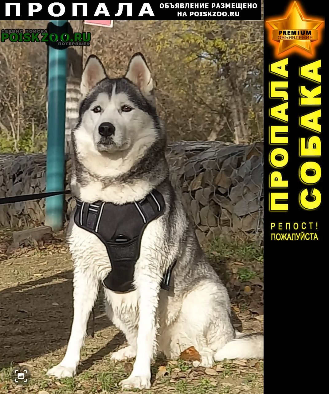 ���� ������� ������ �����