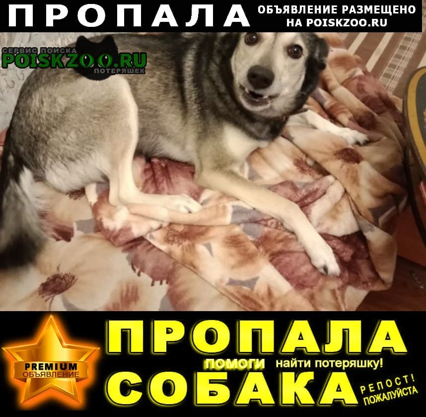 ���� ������� ������