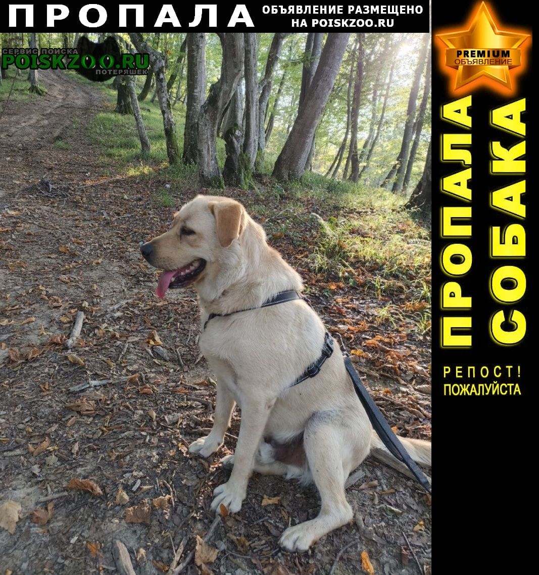 ���� ������� ������ ������ � ���������, �����������, ��� ����. �����