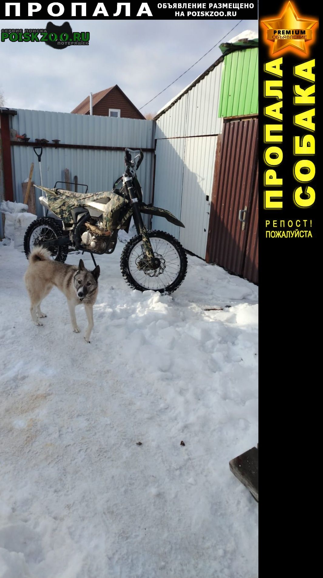 ���� ������� ������