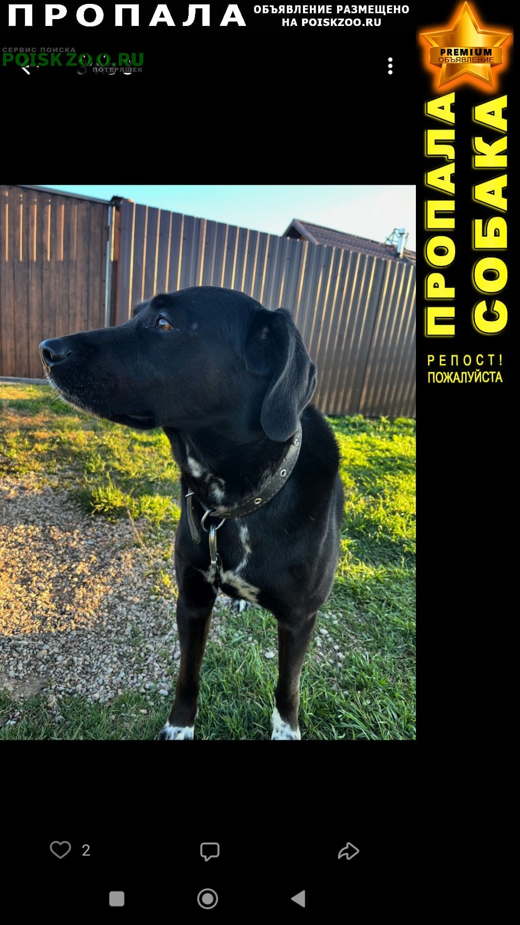 ���� ������� ������ ������