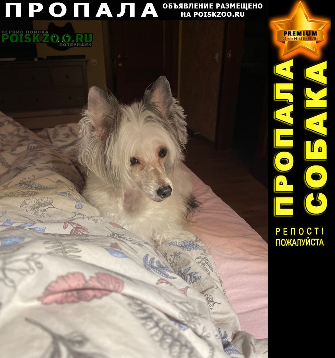 ���� ������� ������ ������ ������