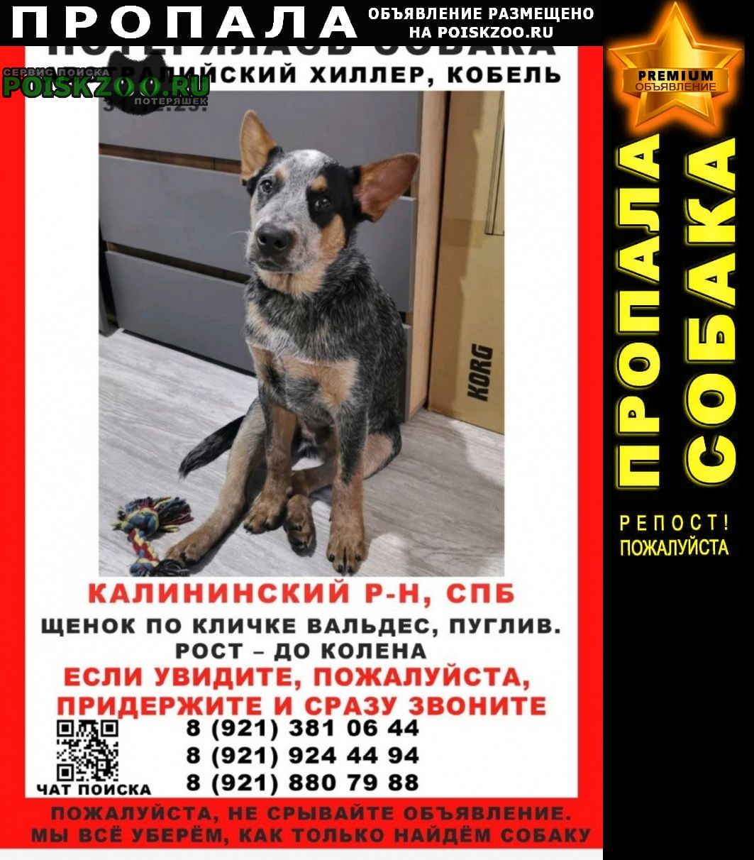 ���� ������� ������ ������ ����� �������