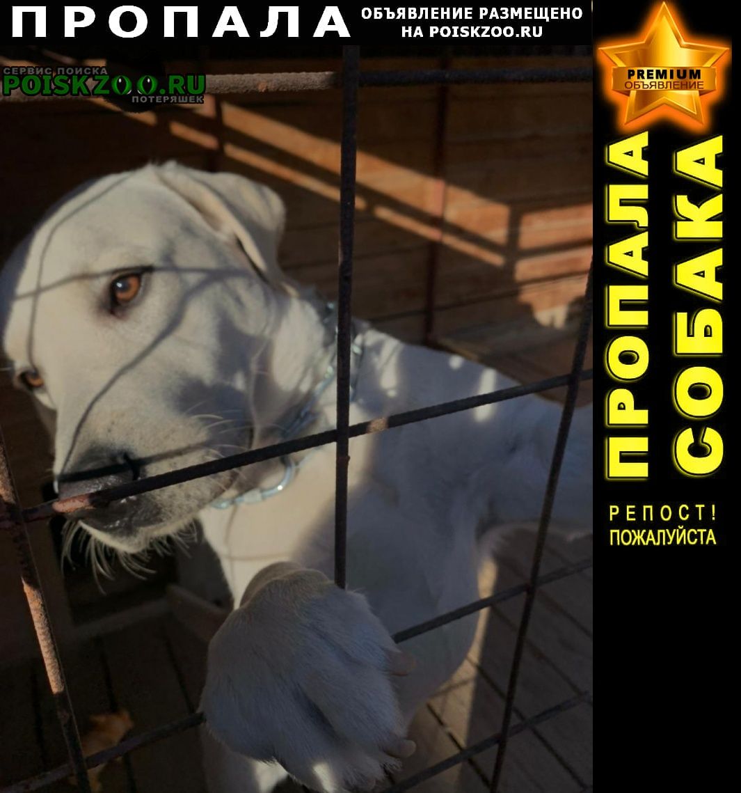 ���� ������� ������ ������