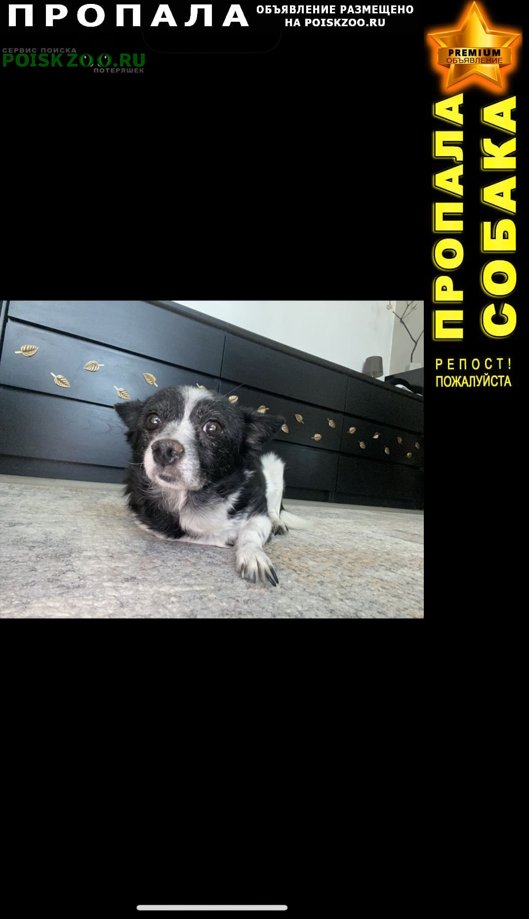 ���� ������� ������