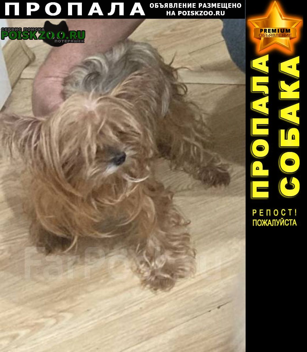 ���� ������� ������