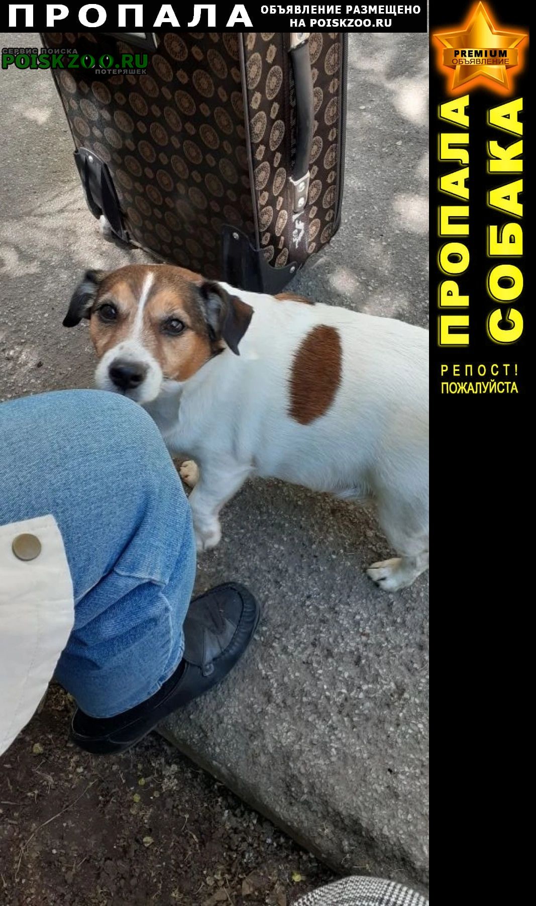 ���� ������� ������ ������ ���� ������