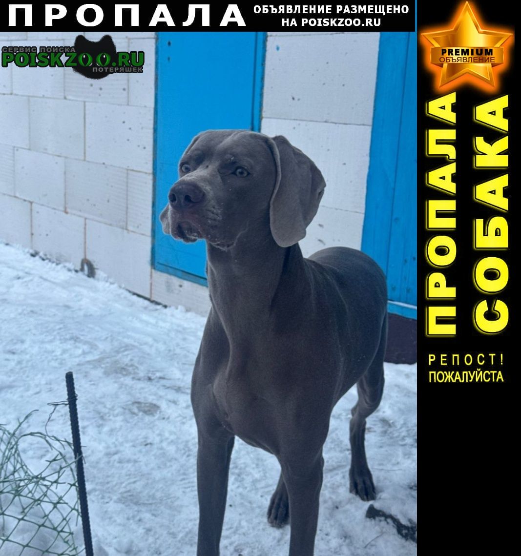 ���� ������� ������