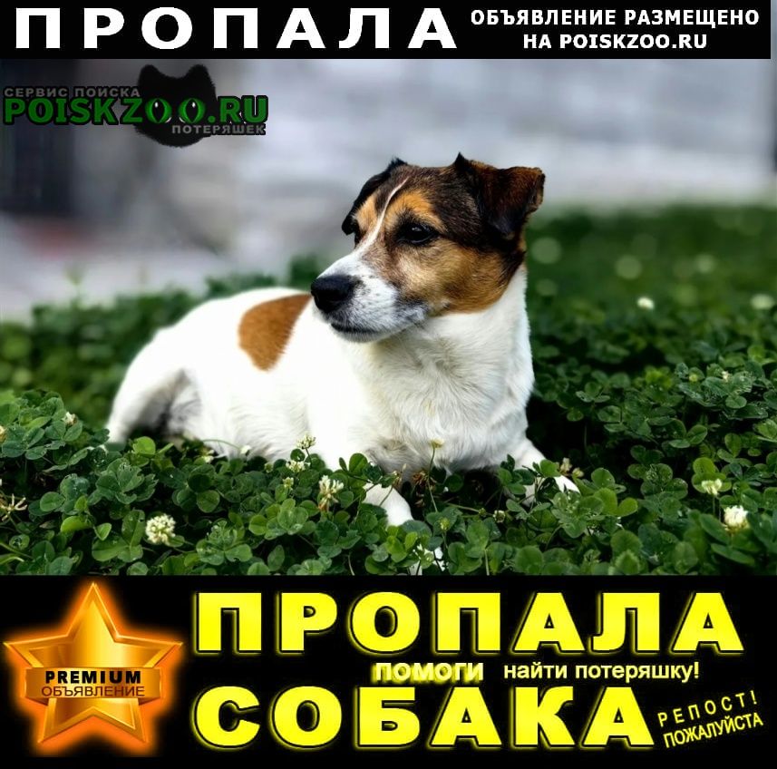 ���� ������� ������ ������ ���� ������