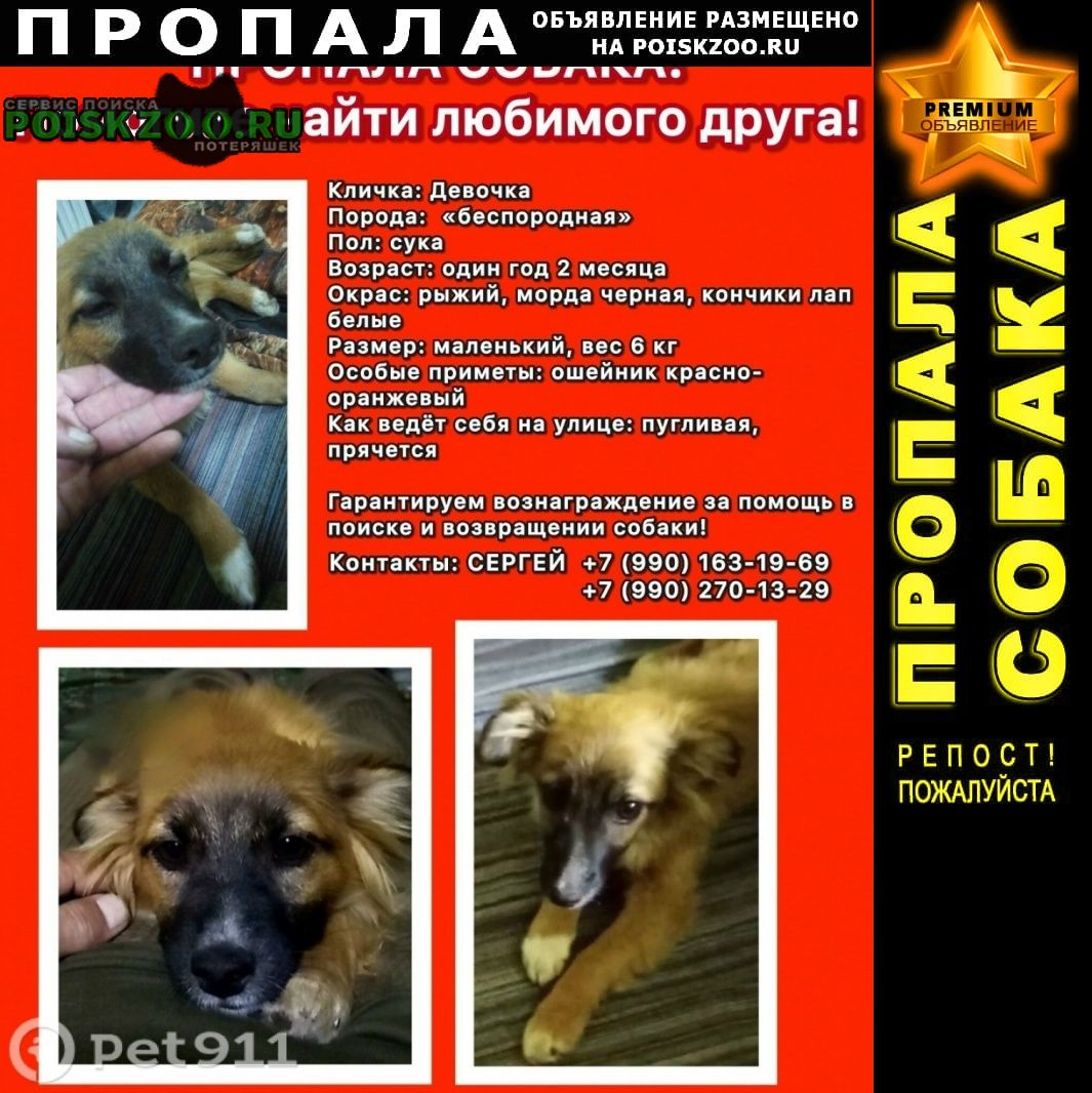 ���� ������� ������ ����������, ������������