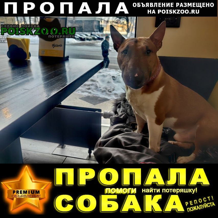 ���� ������� ������ ������ ����������� ����������. ��������