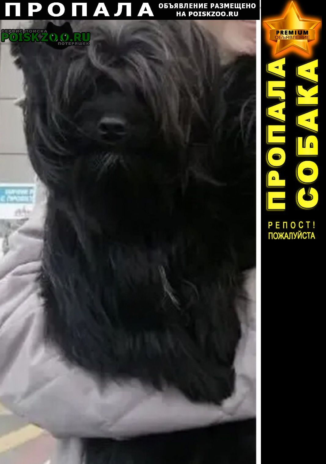 ���� ������� ������ ������