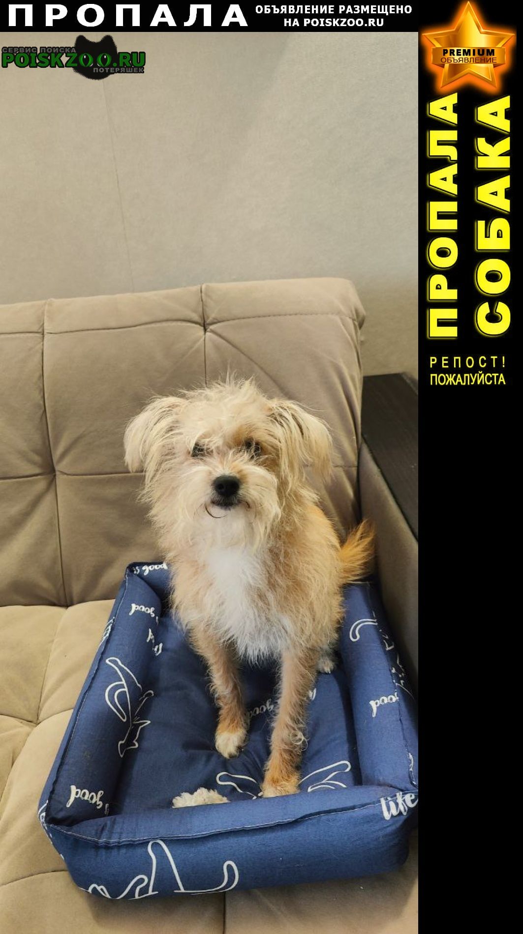 ���� ������� ������