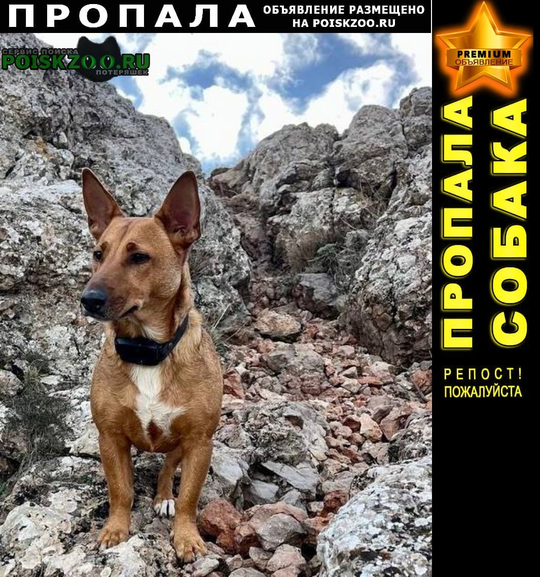 ���� ������� ������