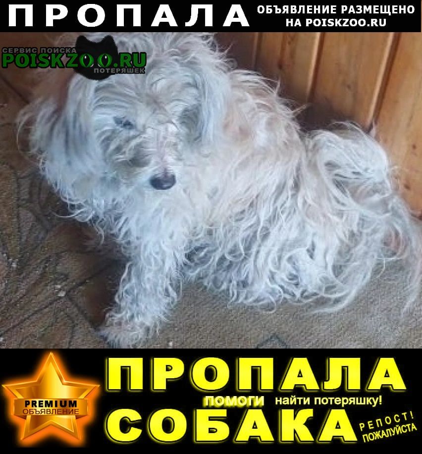 ���� ������� ������ ������