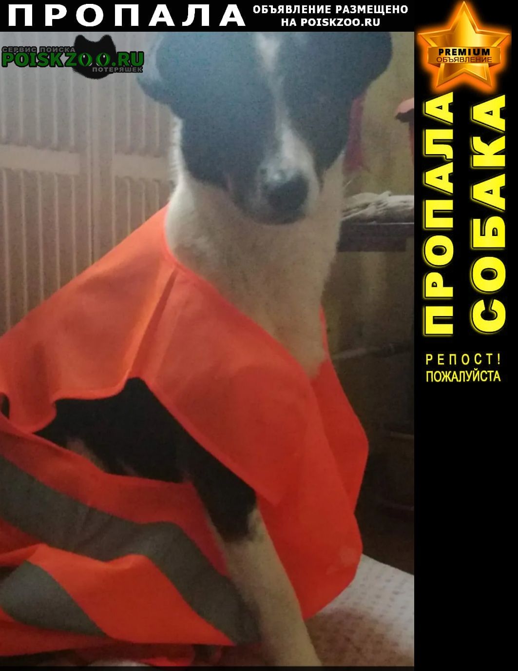 ���� ������� ������ ������ ���������� ������