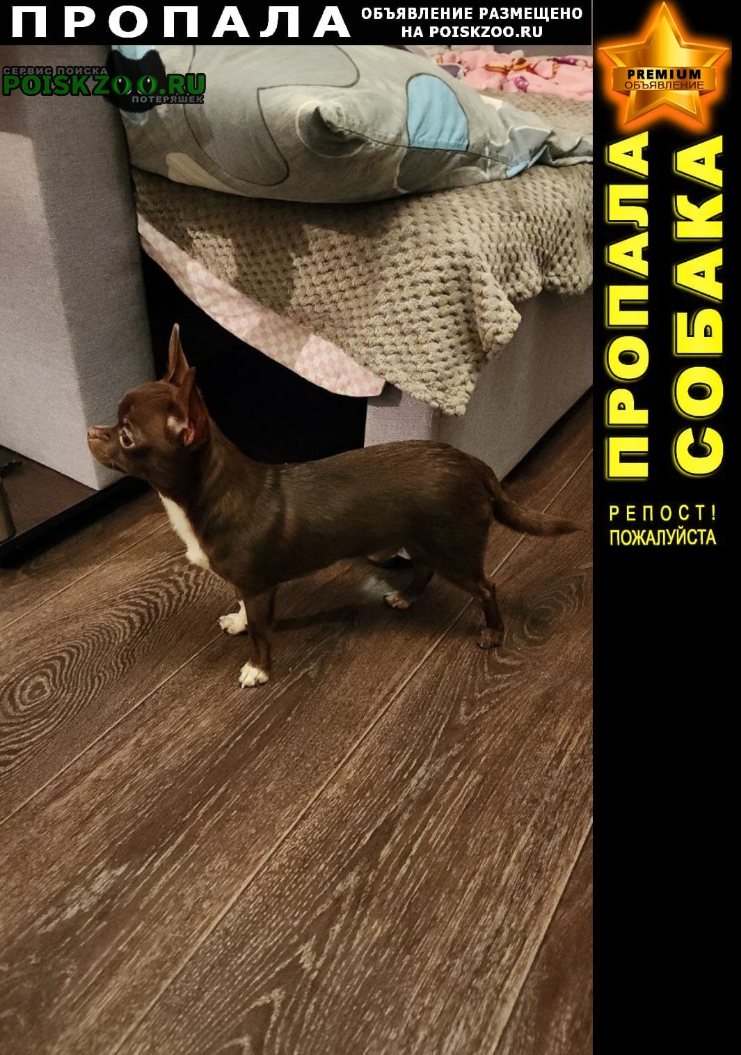 ���� ������� ������ ������ ��������