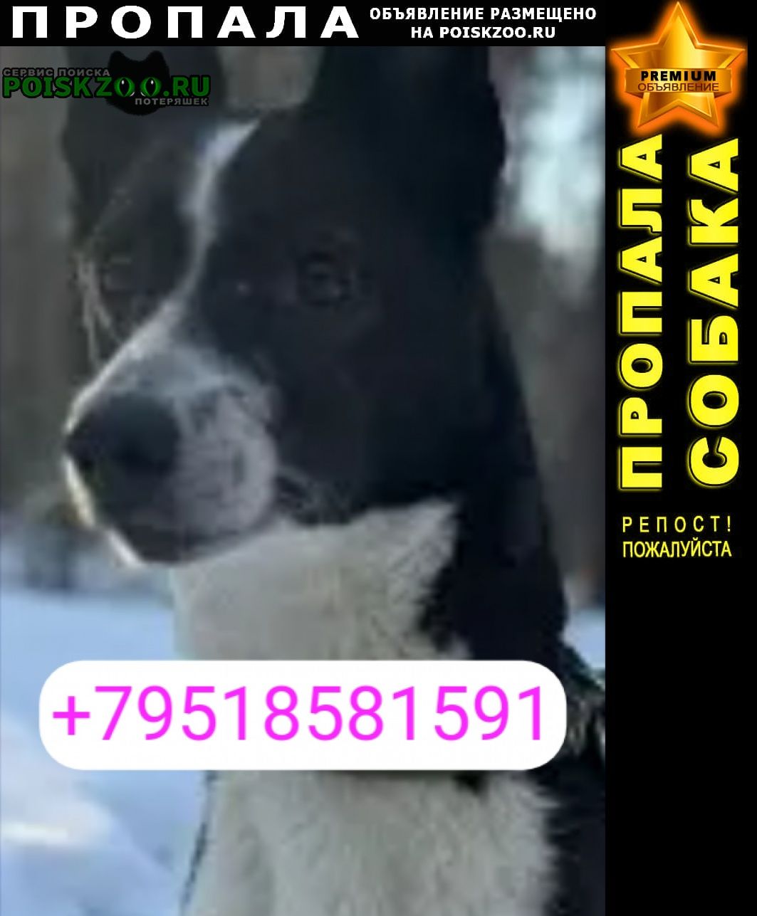 ���� ������� ������ ������