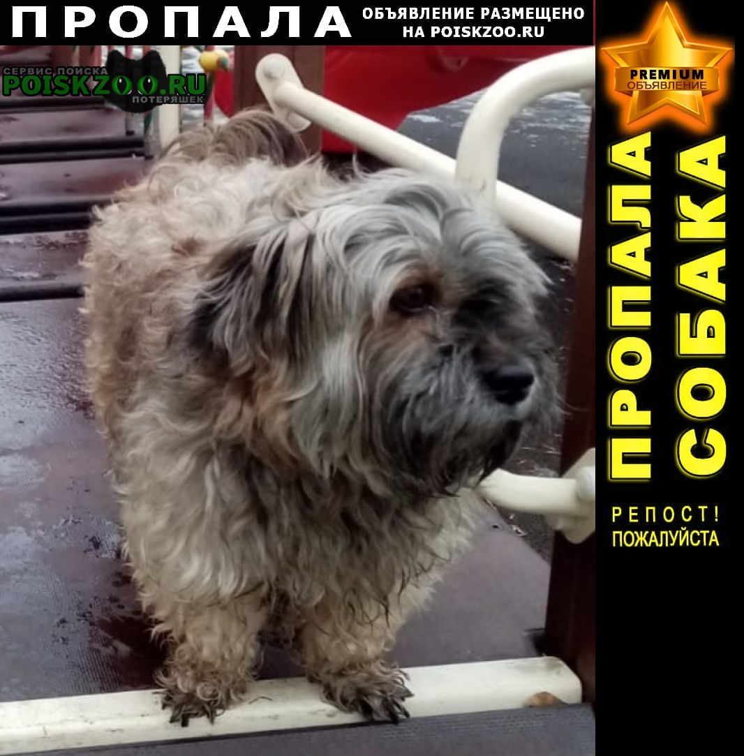 ���� ������� ������ ������