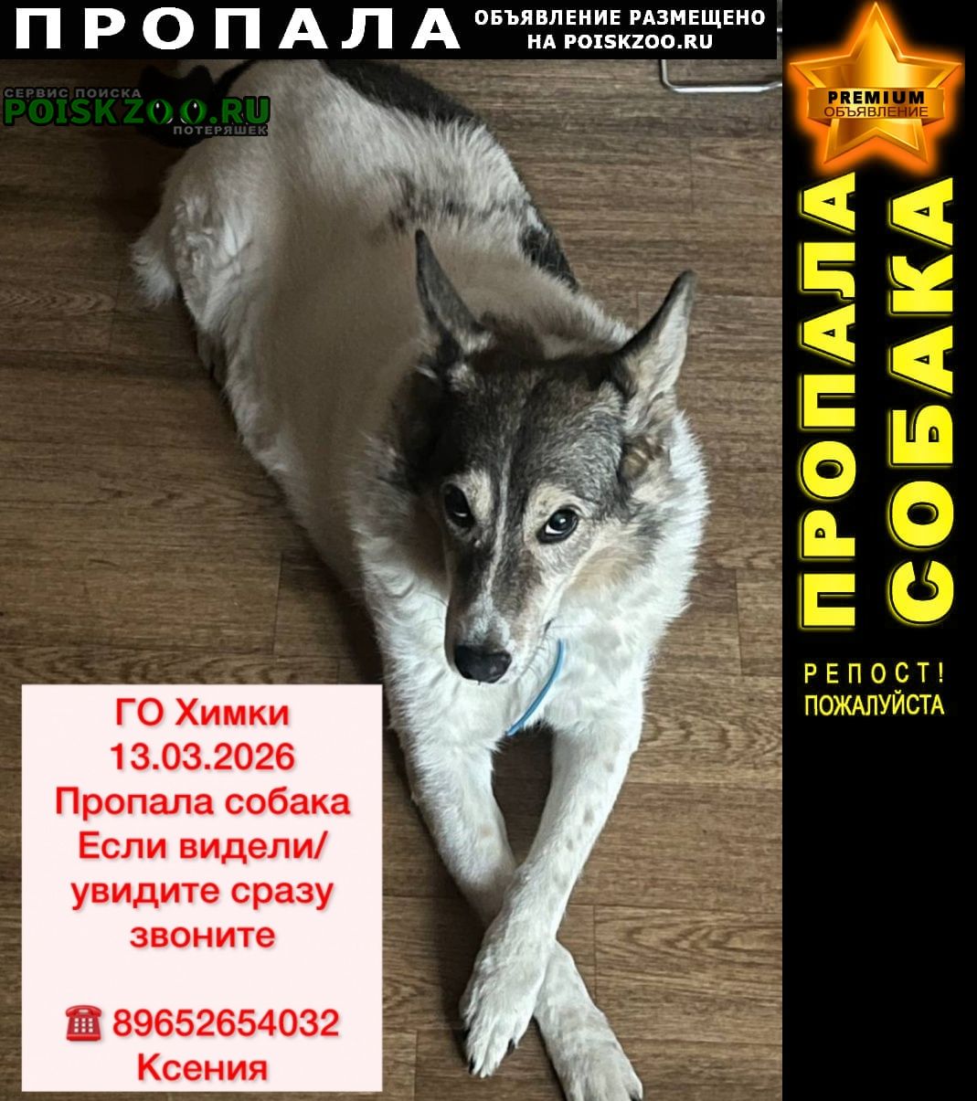 ���� ������� ������ �������� ����� ���������� ������ - �����