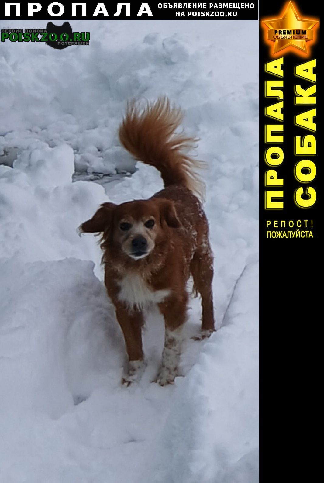 ���� ������� ������ ������